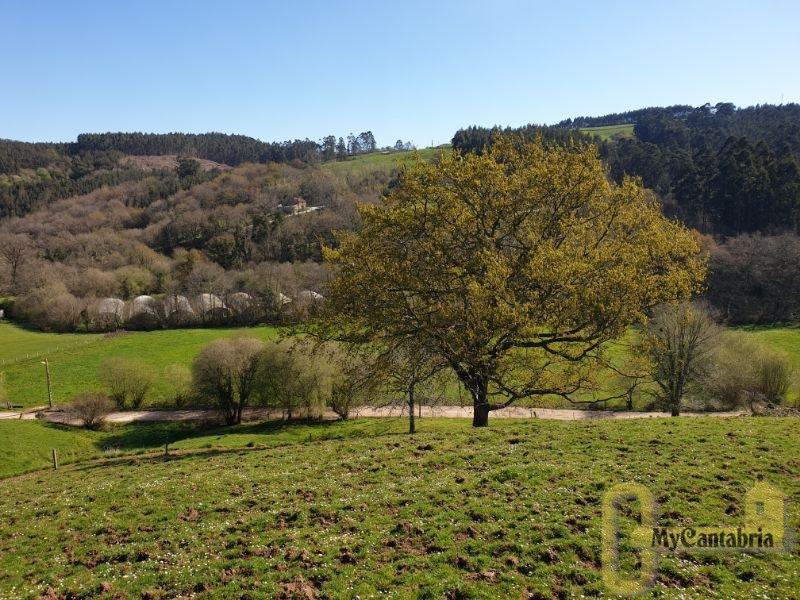 Venta de finca rústica en Villaescusa