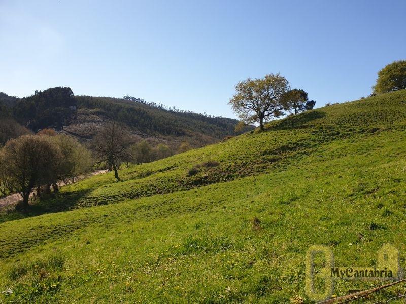 Venta de finca rústica en Villaescusa