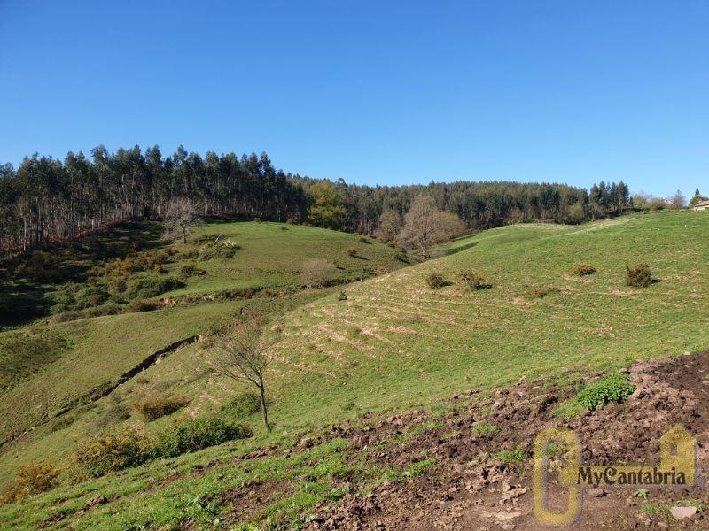 Venta de finca rústica en Villaescusa