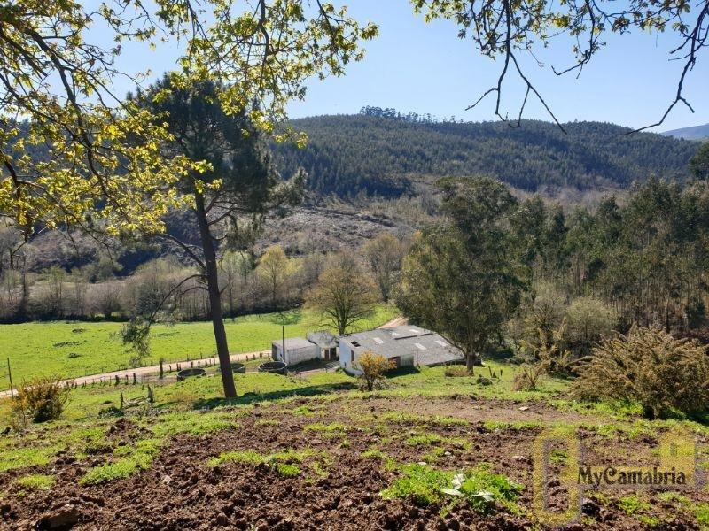 Venta de finca rústica en Villaescusa