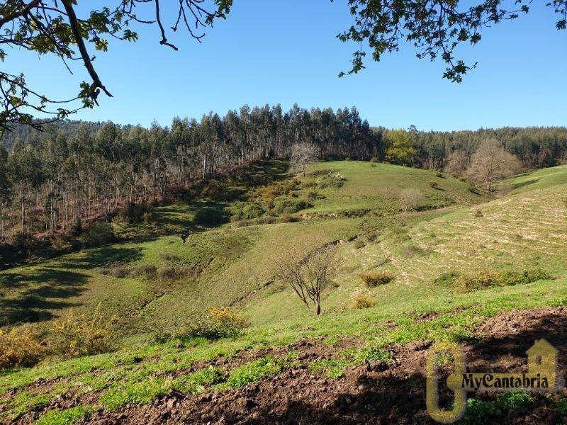 Venta de finca rústica en Villaescusa