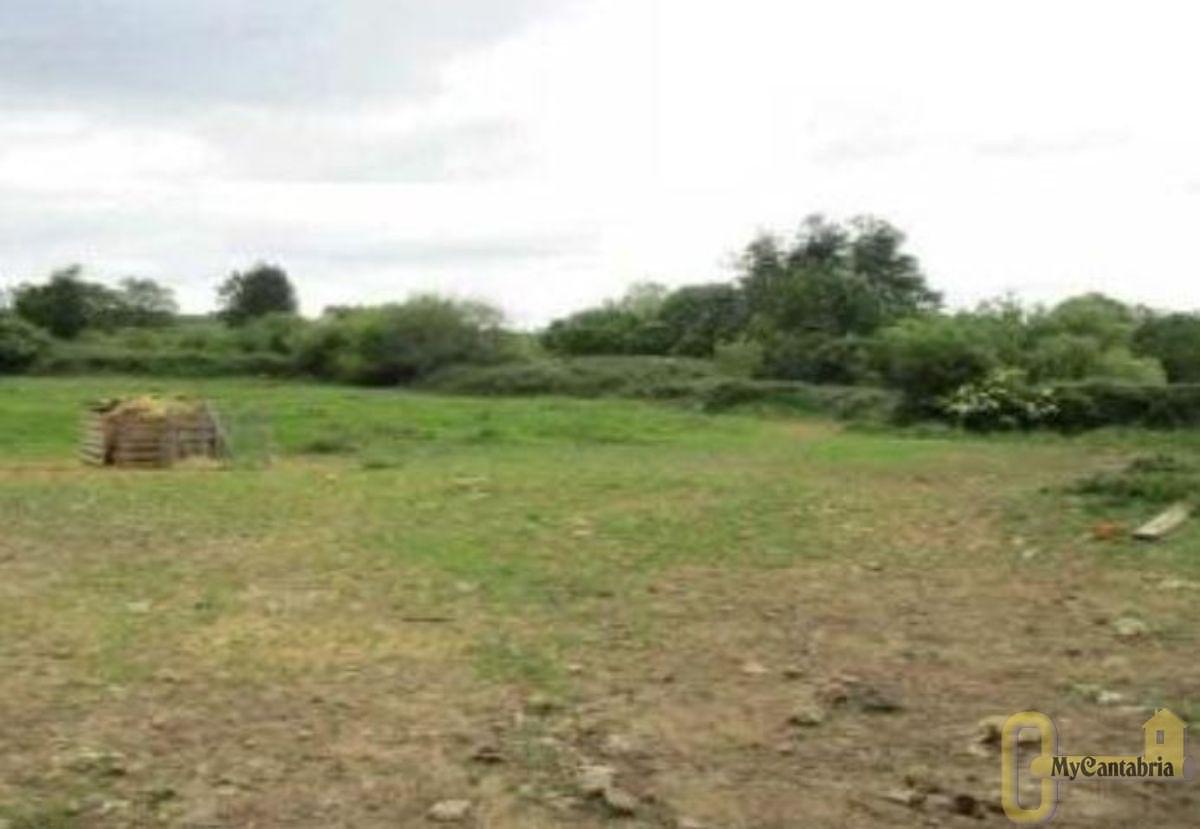 For sale of land in Villaescusa