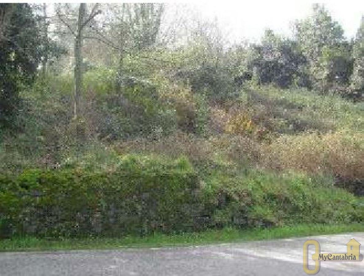 For sale of land in Limpias