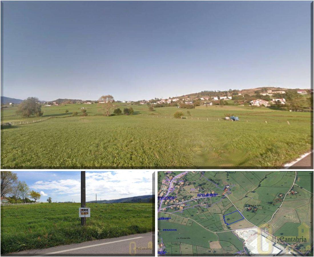 For sale of land in Penagos