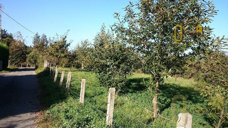 Venta de finca rústica en Santa María de Cayón