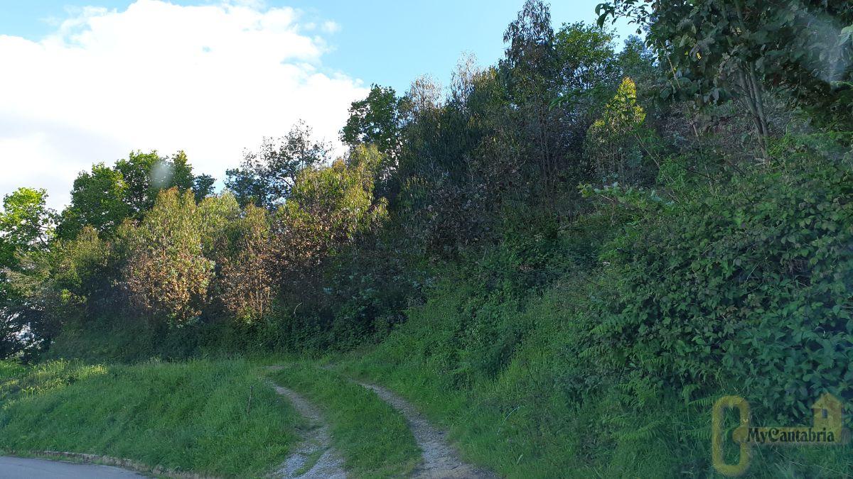 Venta de terreno en Villaescusa