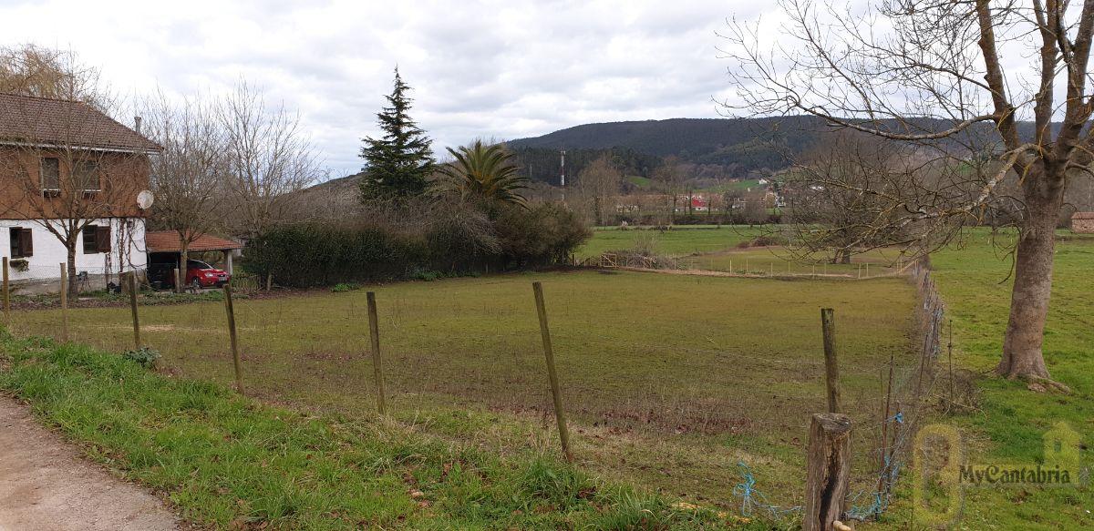 Venta de finca rústica en Castañeda