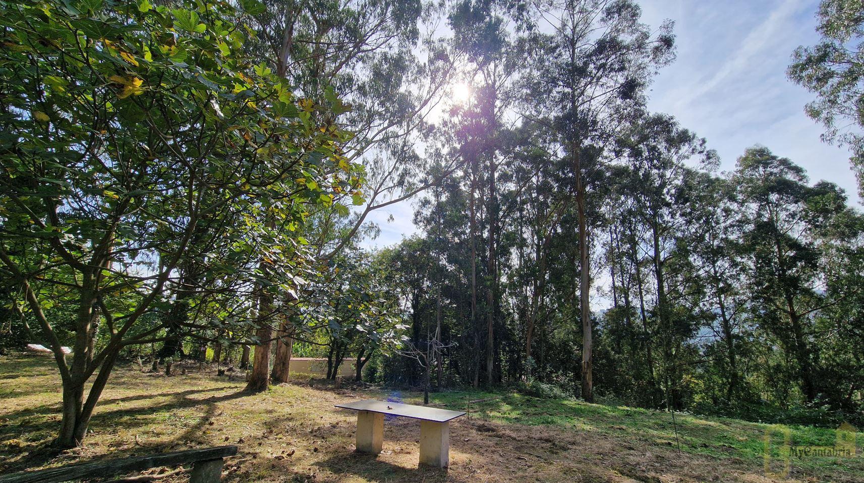 Venta de casa en Santa María de Cayón