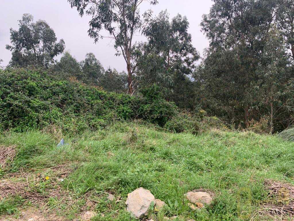 For sale of land in Castro-Urdiales
