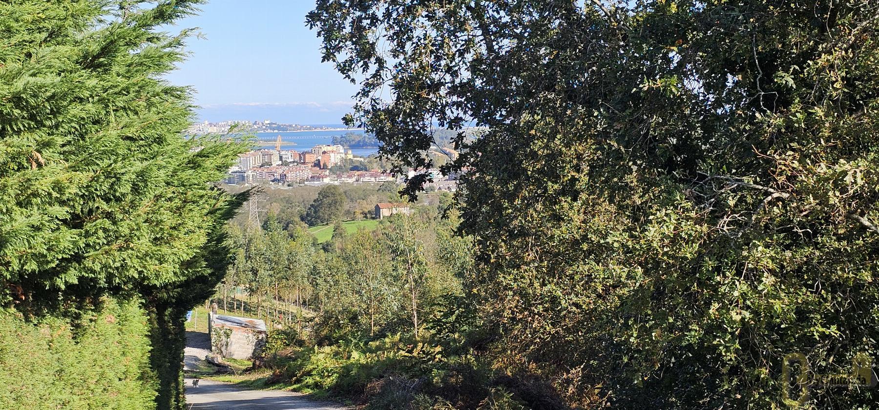 For sale of rural property in Villaescusa
