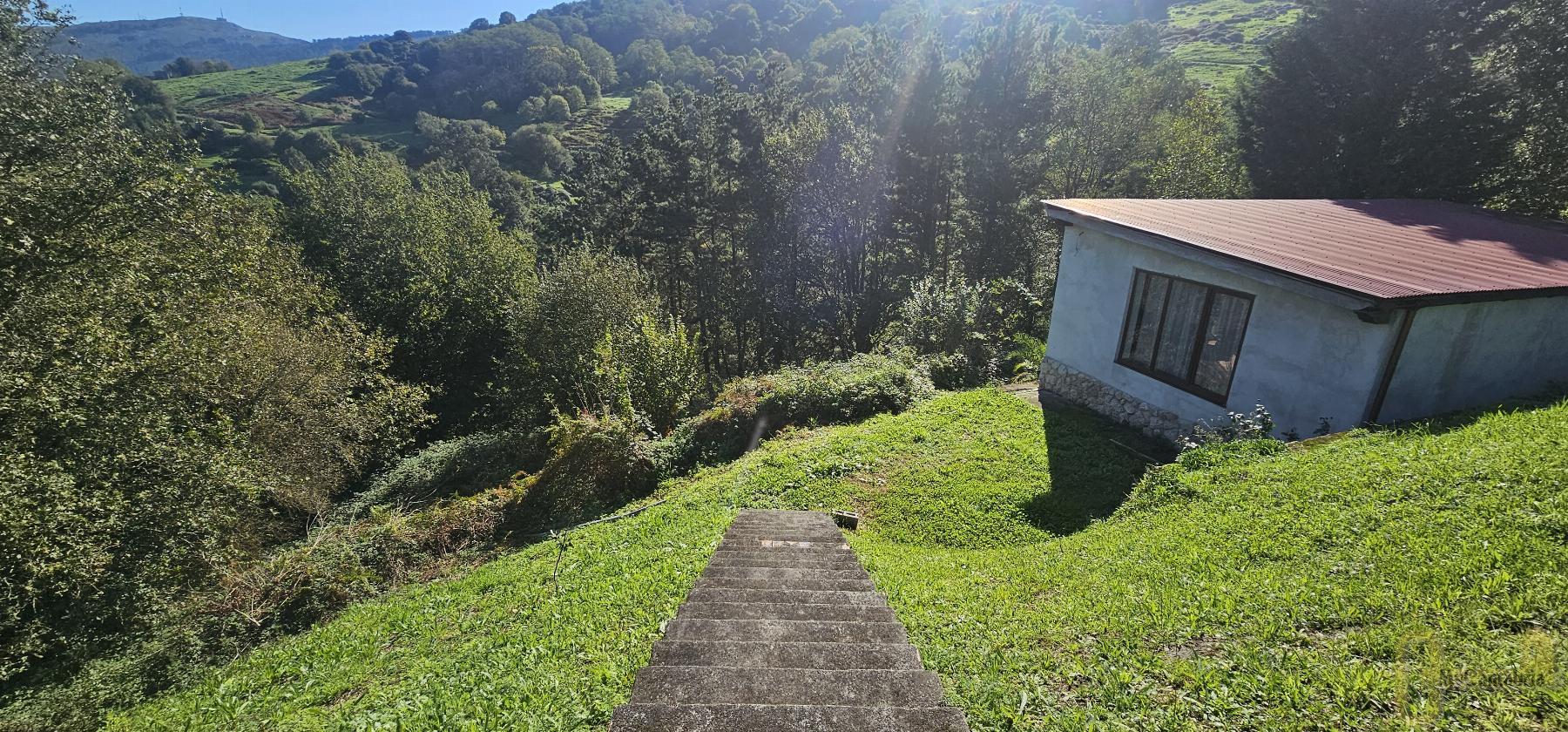 For sale of rural property in Villaescusa