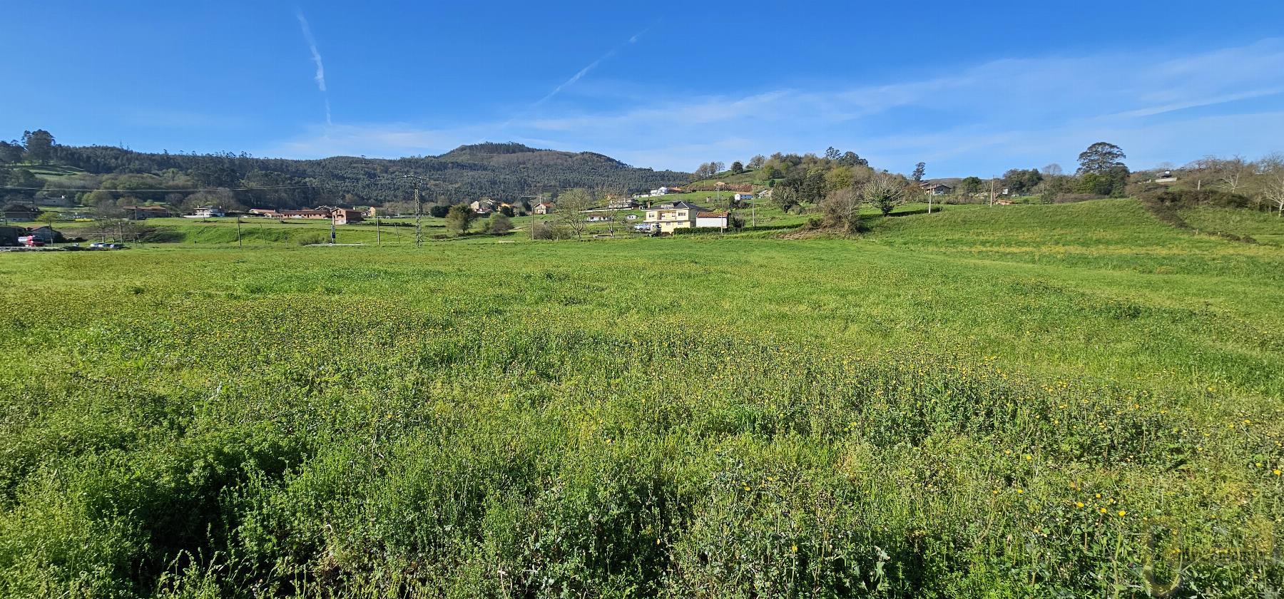 For sale of land in Puente Viesgo
