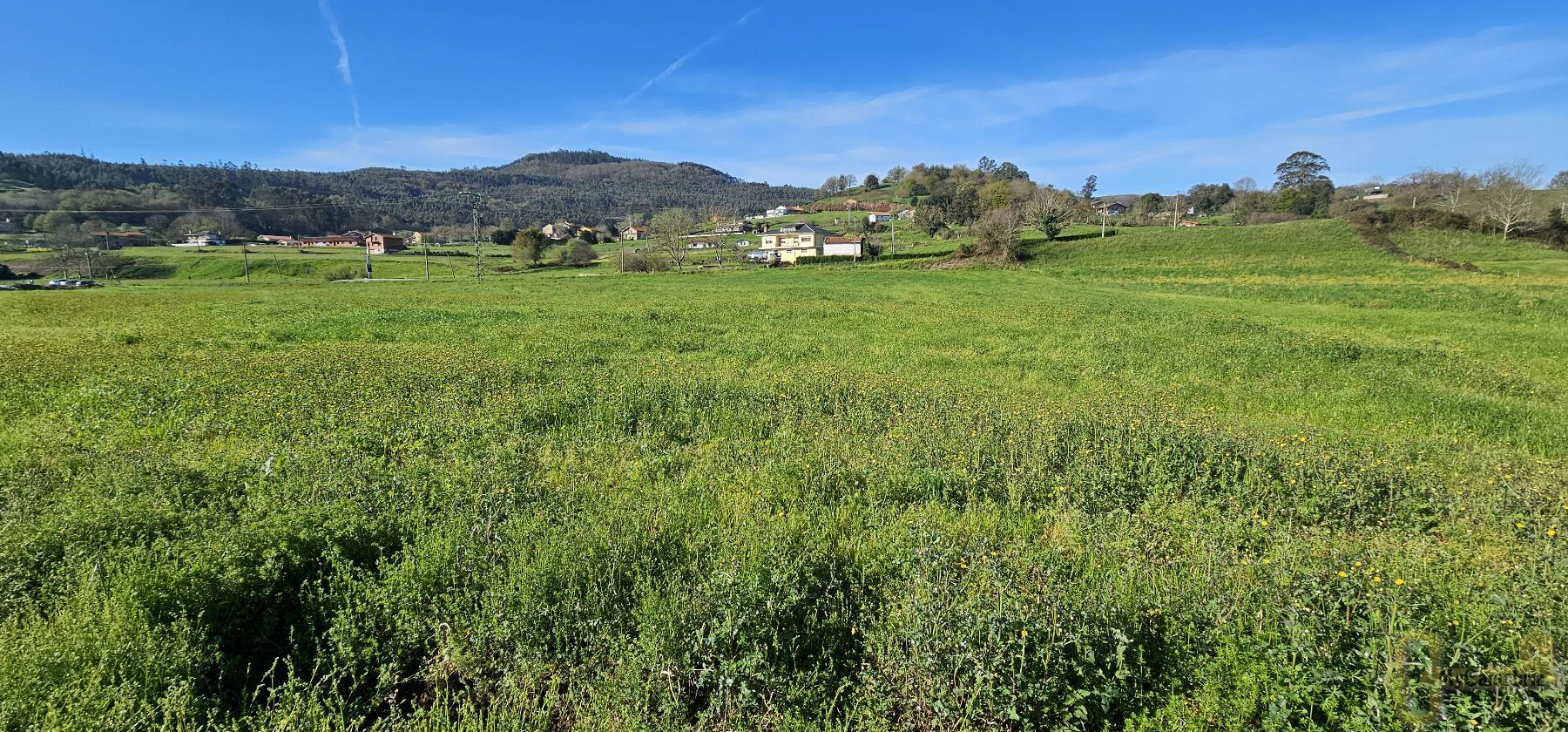 For sale of land in Puente Viesgo