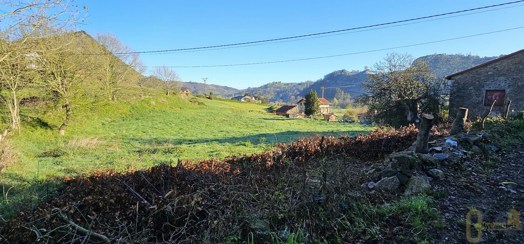 For sale of land in Puente Viesgo
