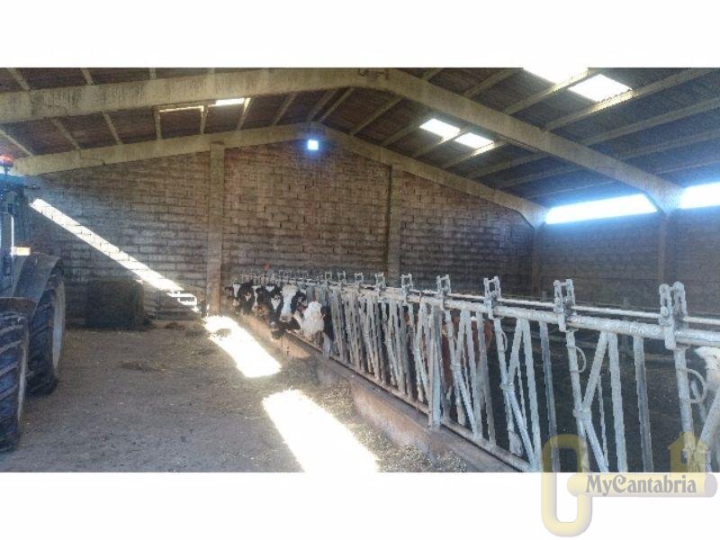 Venta de casa en Santa María de Cayón