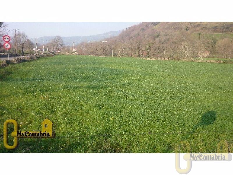 For sale of land in Selaya