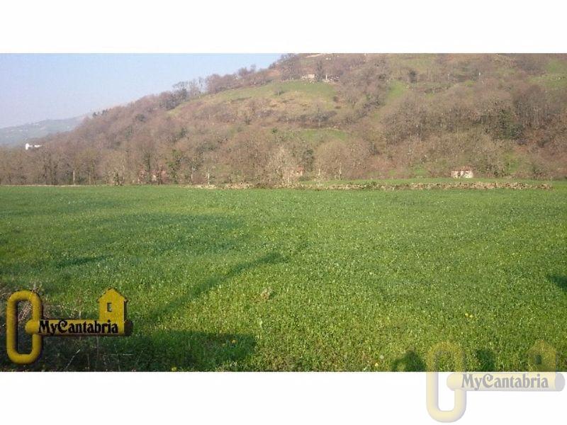 For sale of land in Selaya