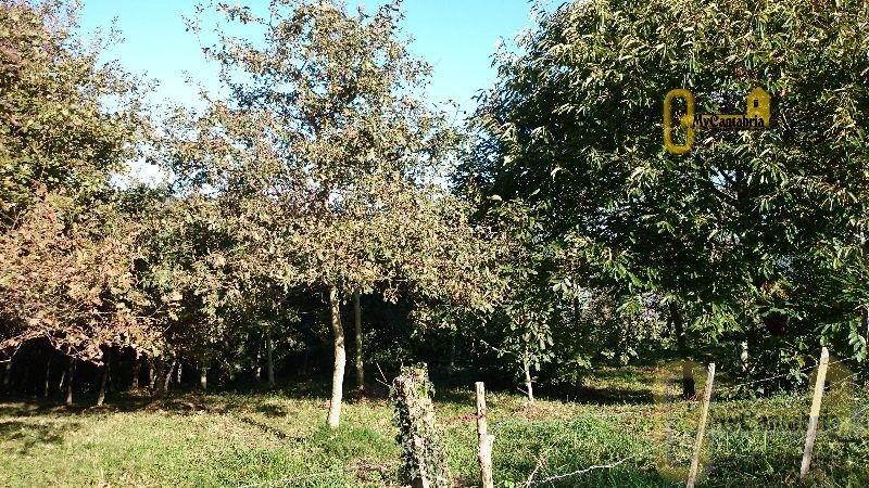 Venta de finca rústica en Santa María de Cayón