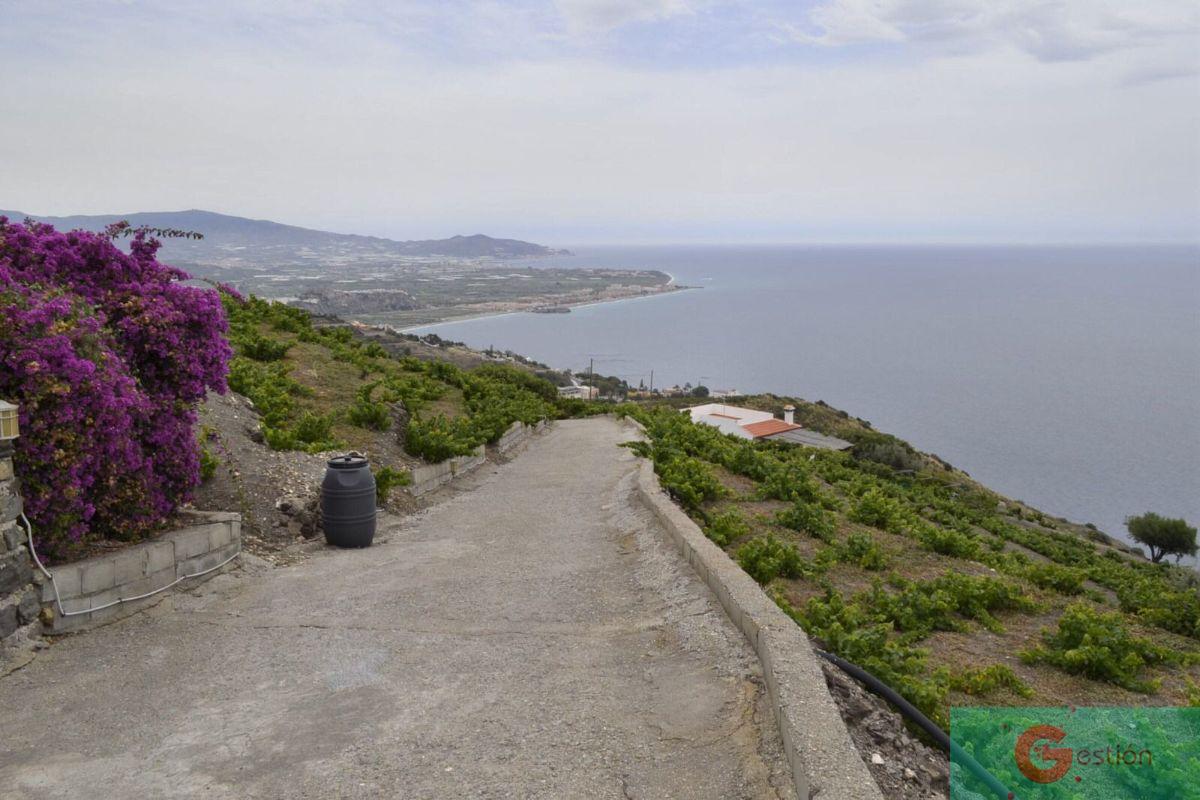 Venta de finca rústica en Salobreña