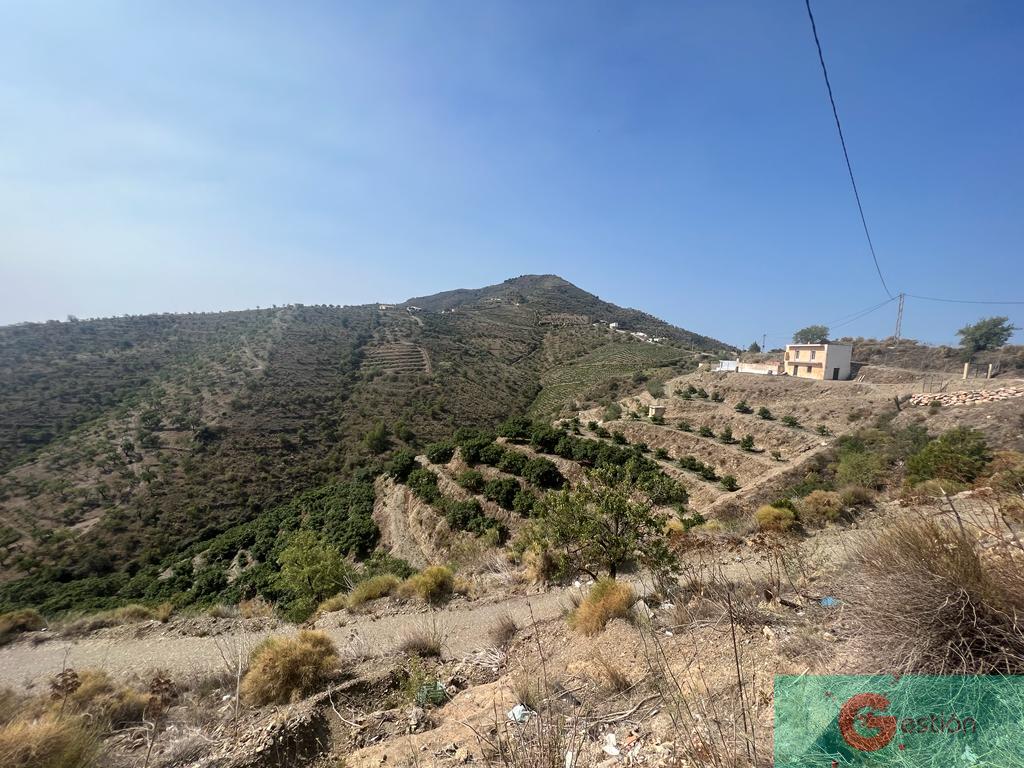 Venta de finca rústica en Itrabo