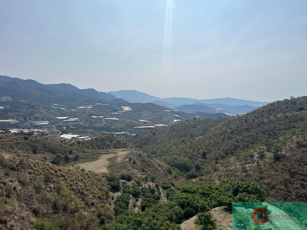 Venta de finca rústica en Itrabo