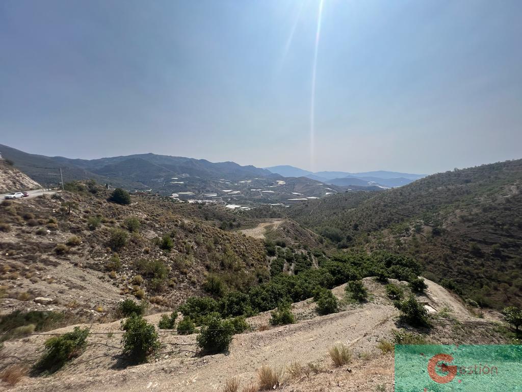 Venta de finca rústica en Itrabo