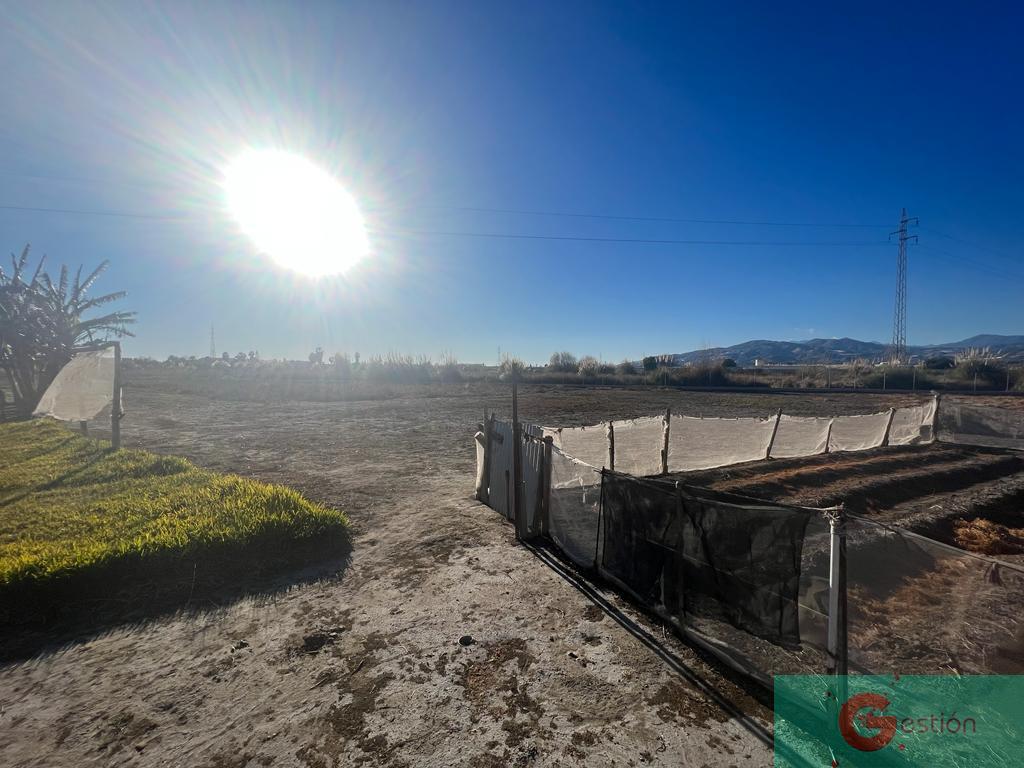 Venta de finca rústica en Motril