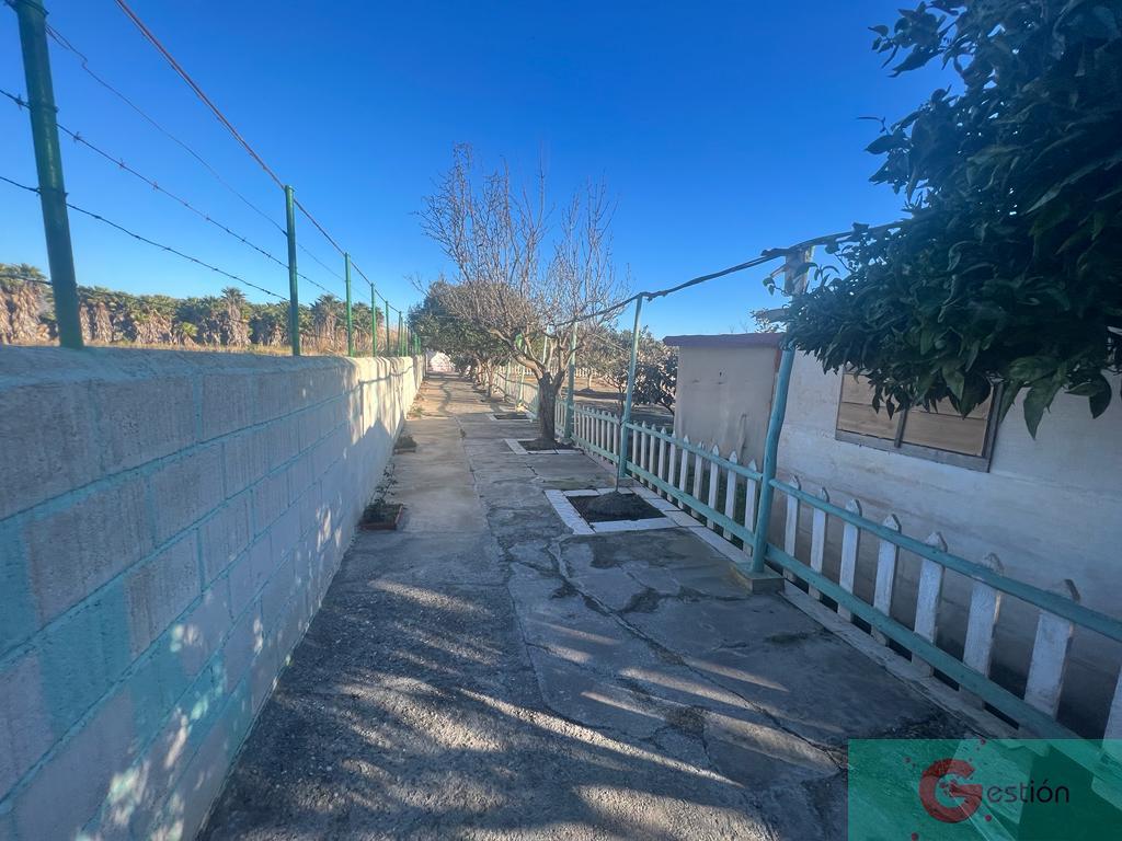 Venta de finca rústica en Motril