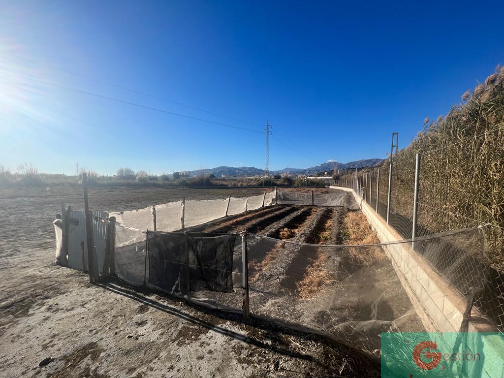 Venta de finca rústica en Motril