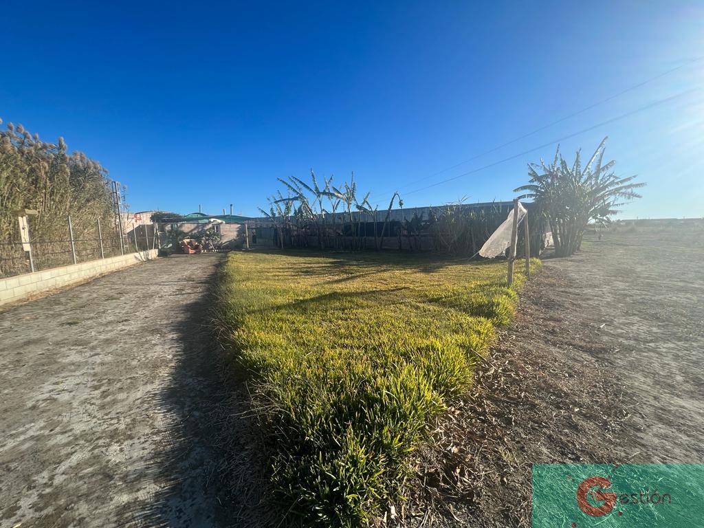 Venta de finca rústica en Motril