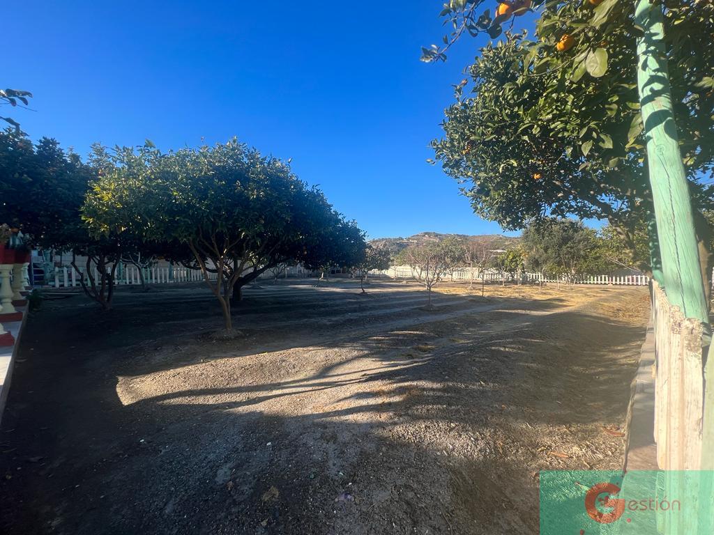 Venta de finca rústica en Motril