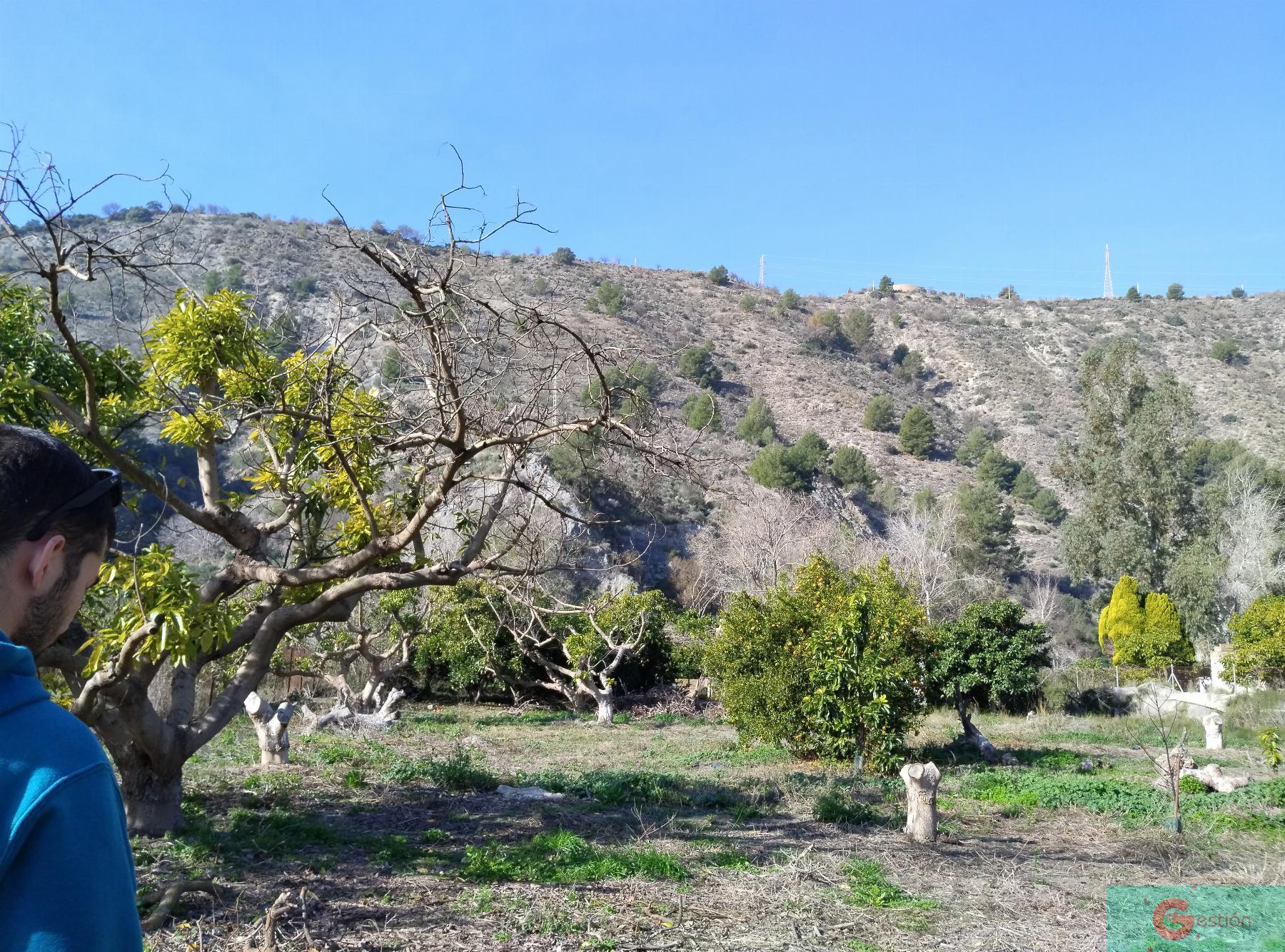 Venta de finca rústica en Vélez de Benaudalla