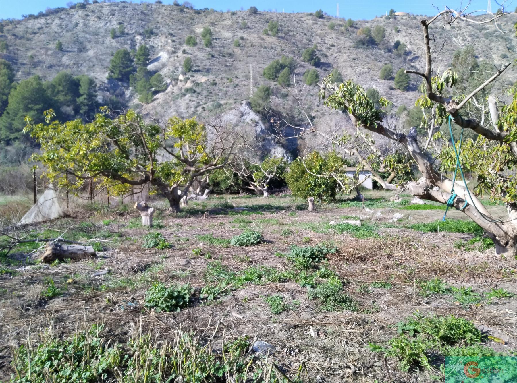 Venta de finca rústica en Vélez de Benaudalla