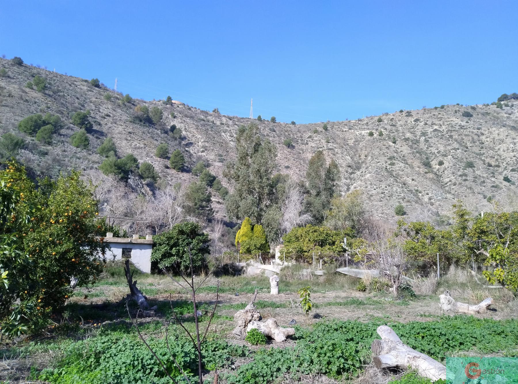 Venta de finca rústica en Vélez de Benaudalla