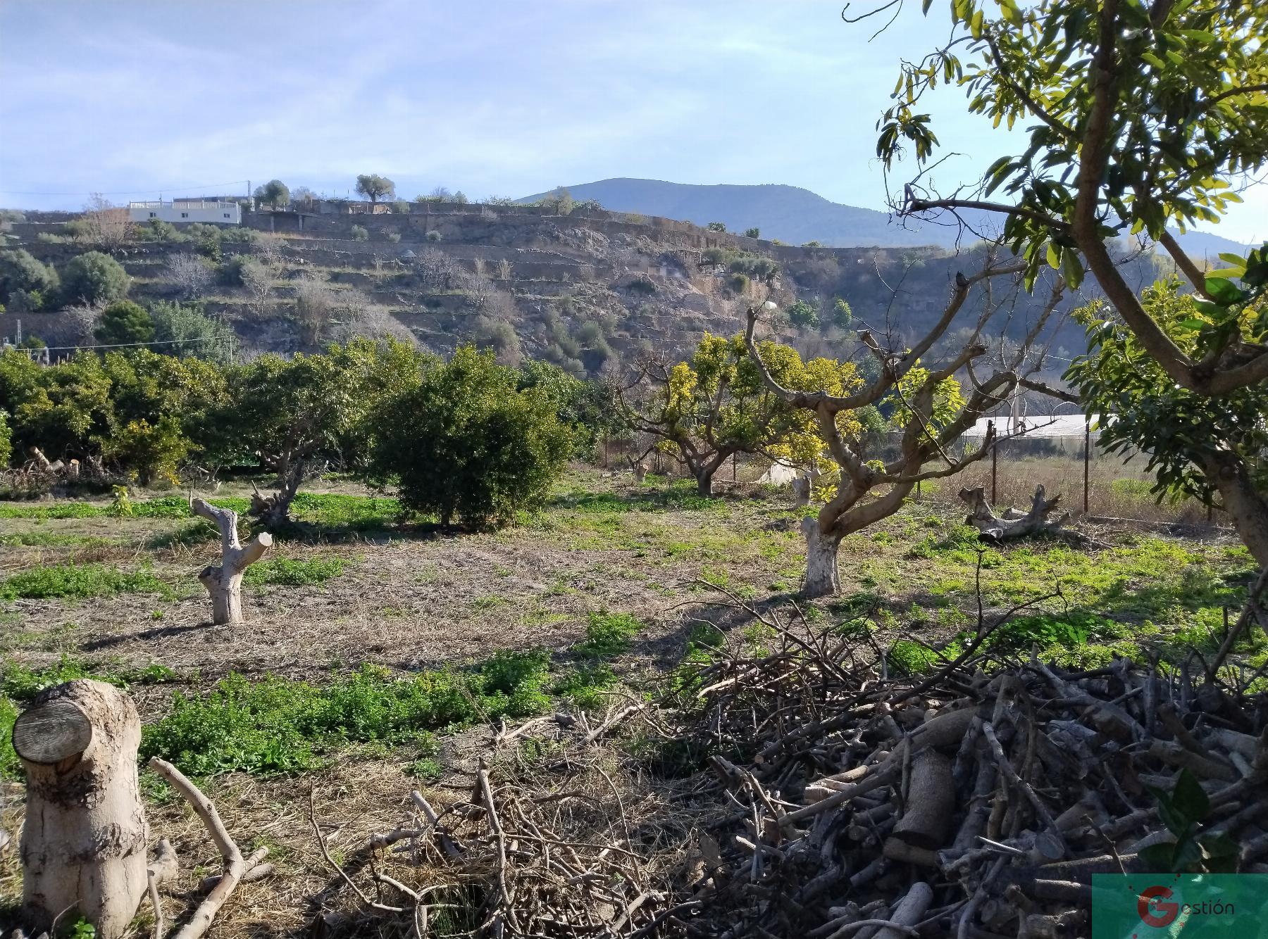 Venta de finca rústica en Vélez de Benaudalla