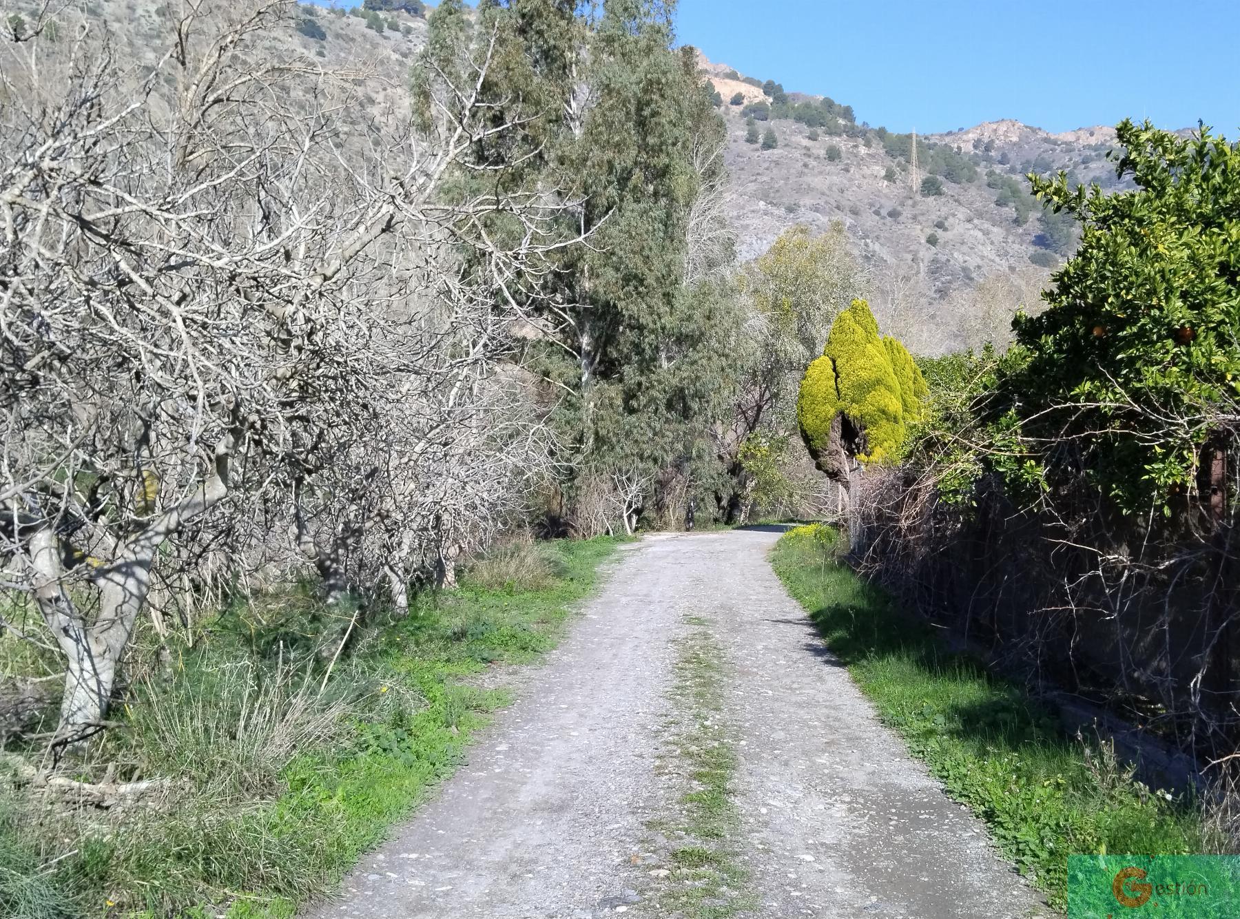 Venta de finca rústica en Vélez de Benaudalla