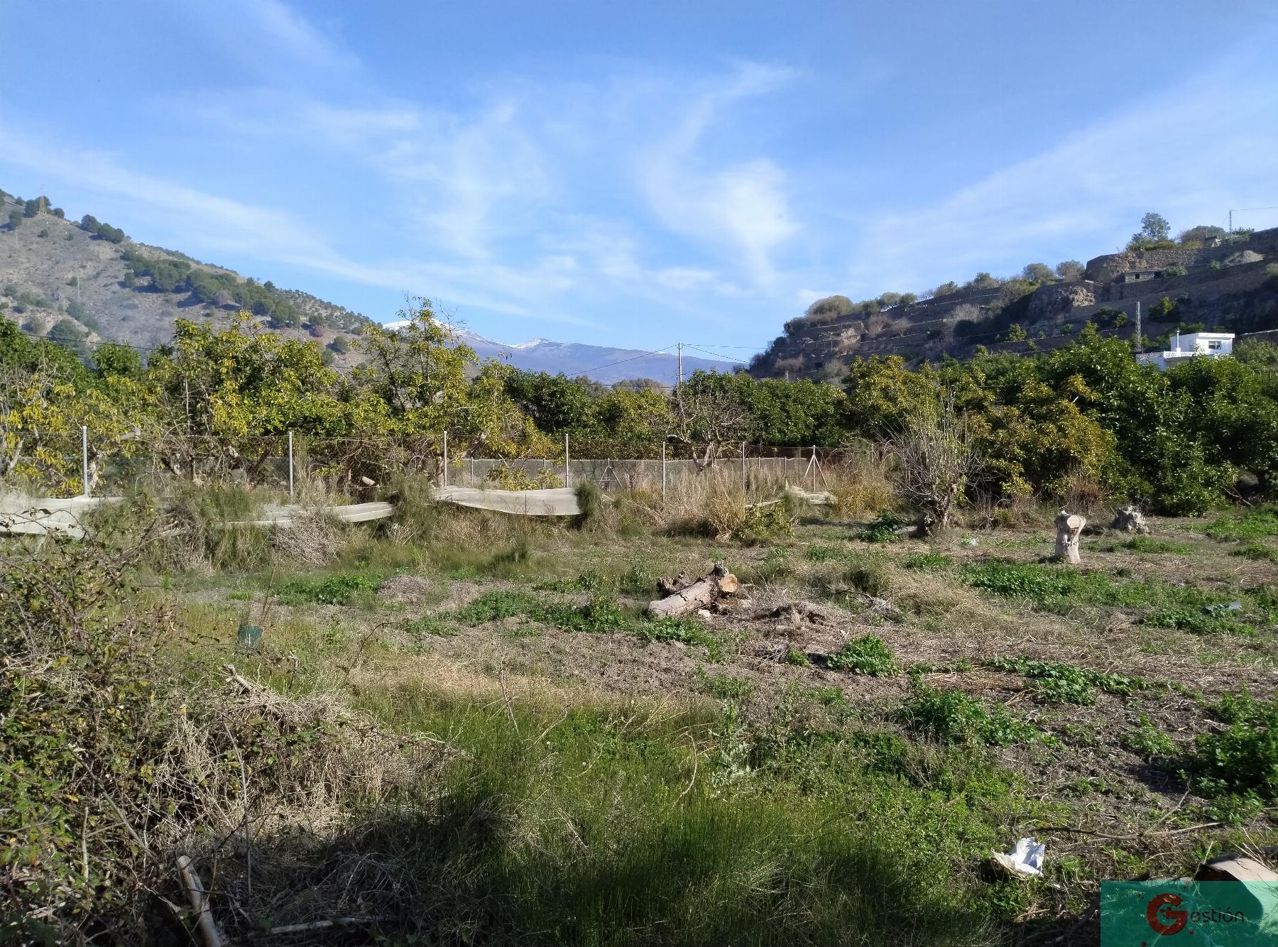 Venta de finca rústica en Vélez de Benaudalla