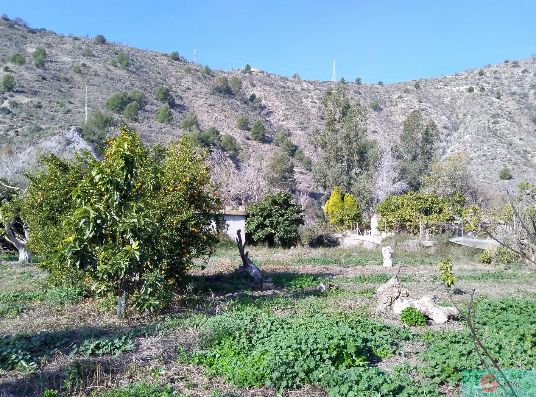 Venta de finca rústica en Vélez de Benaudalla