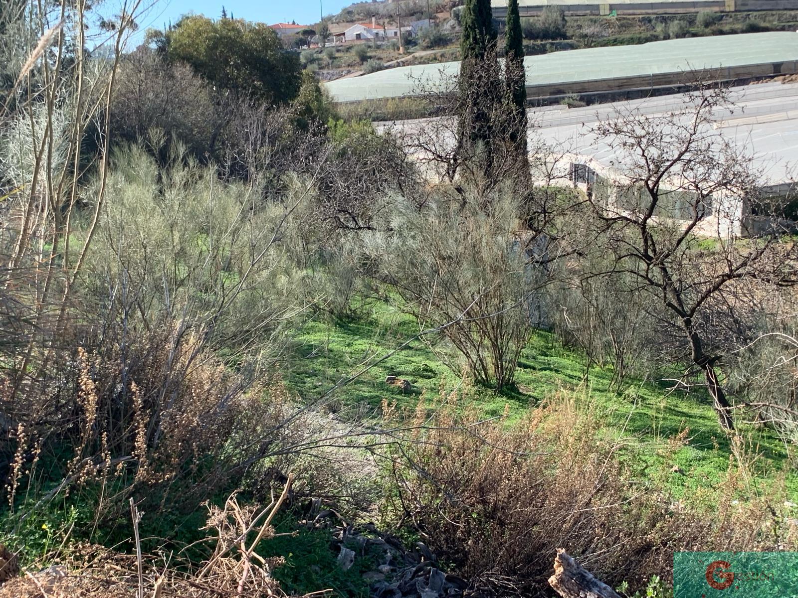 For sale of chalet in Motril