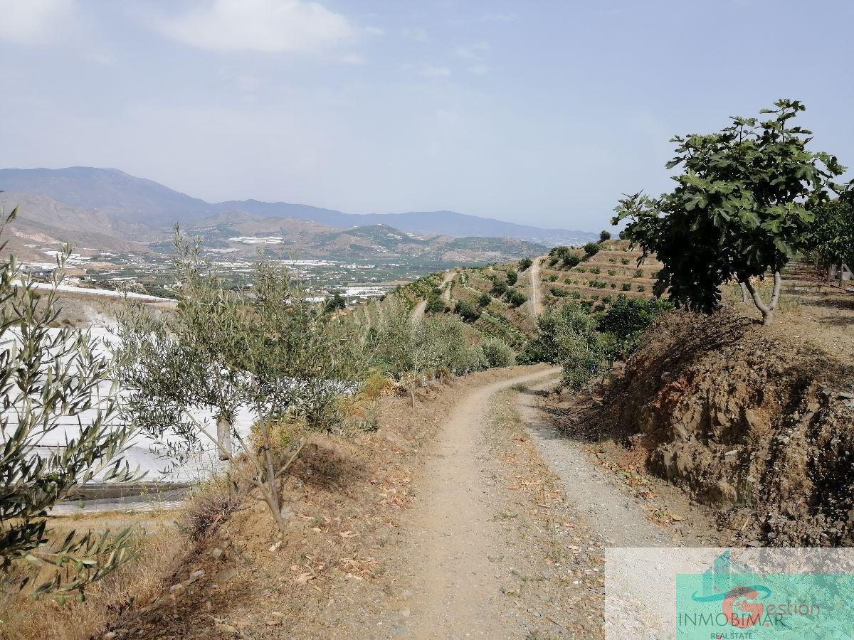 For sale of rural property in Salobreña