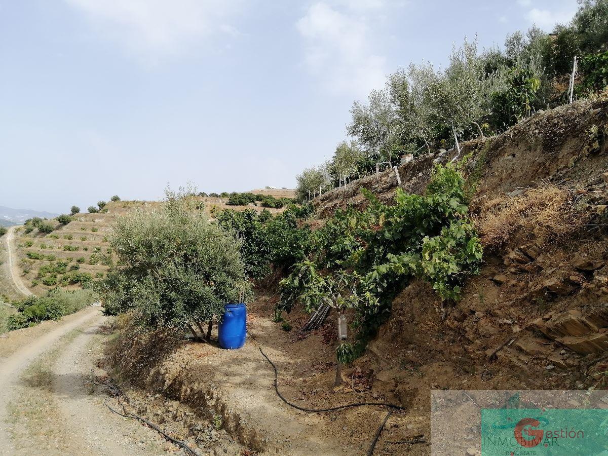 For sale of rural property in Salobreña