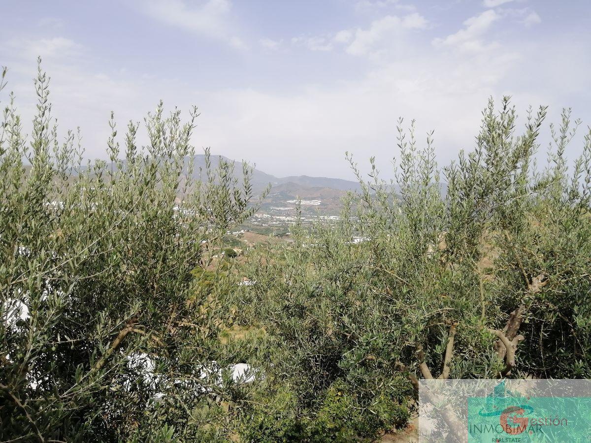 For sale of rural property in Salobreña