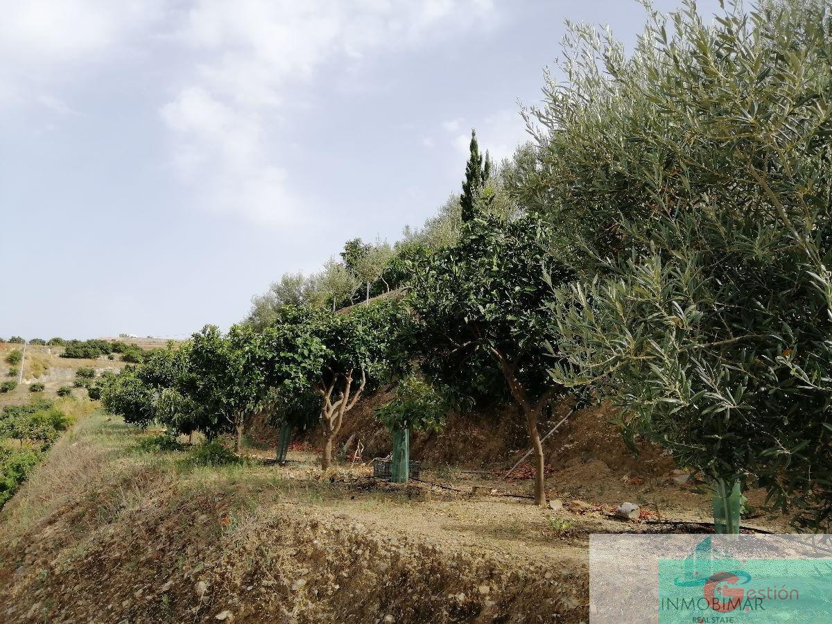 For sale of rural property in Salobreña