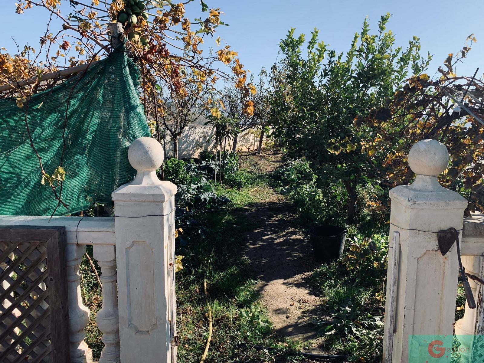 For sale of rural property in Molvízar