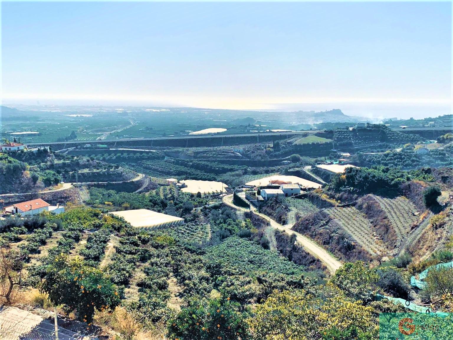For sale of rural property in Molvízar