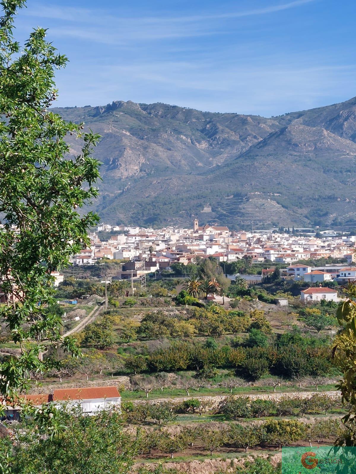 Venta de finca rústica en Molvízar