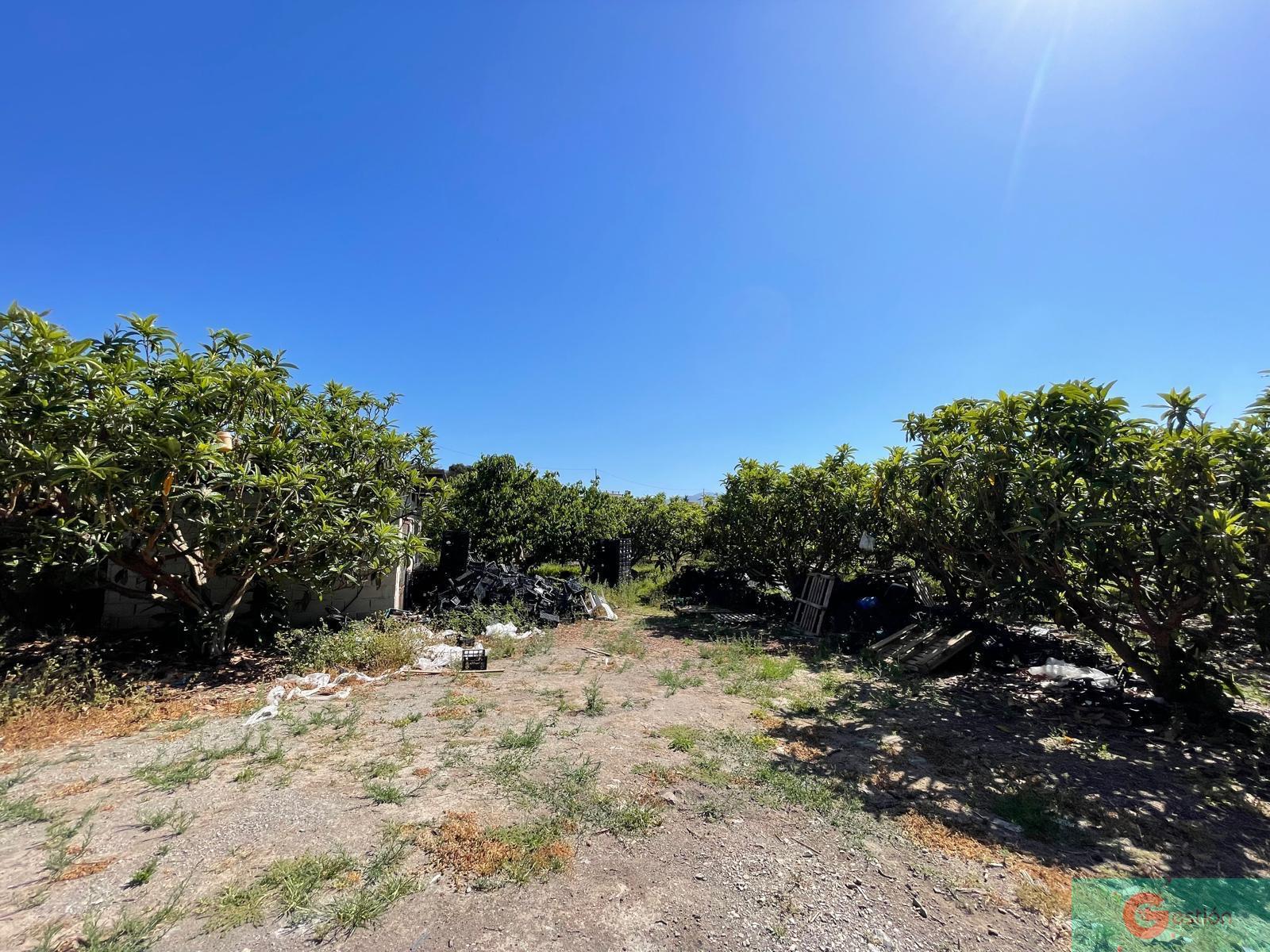 Venta de finca rústica en Salobreña