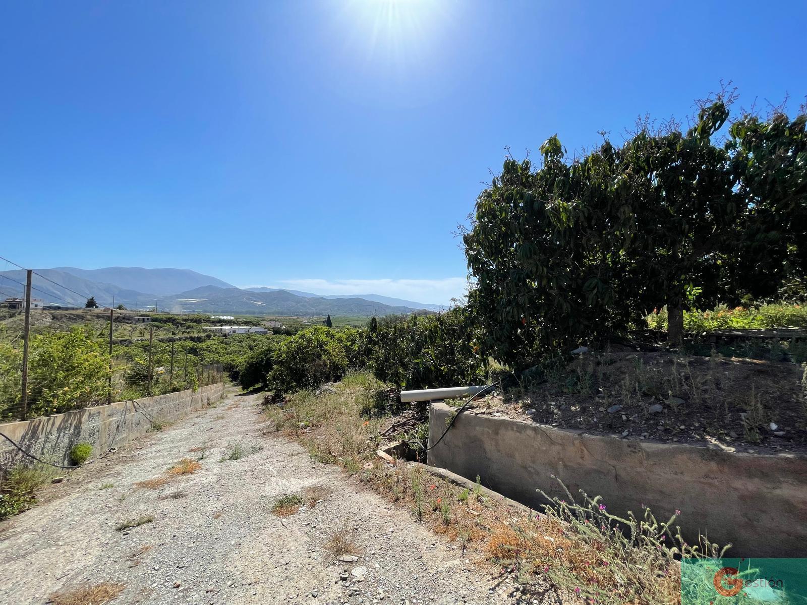 Venta de finca rústica en Salobreña