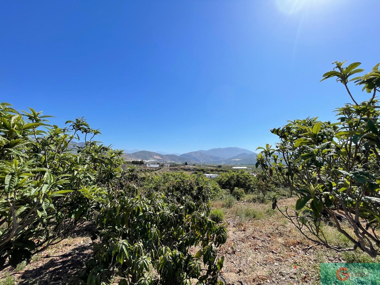 Venta de finca rústica en Salobreña