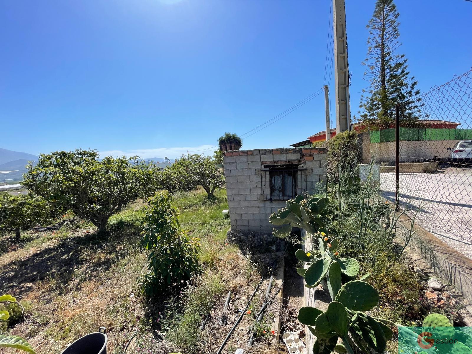 Venta de finca rústica en Salobreña